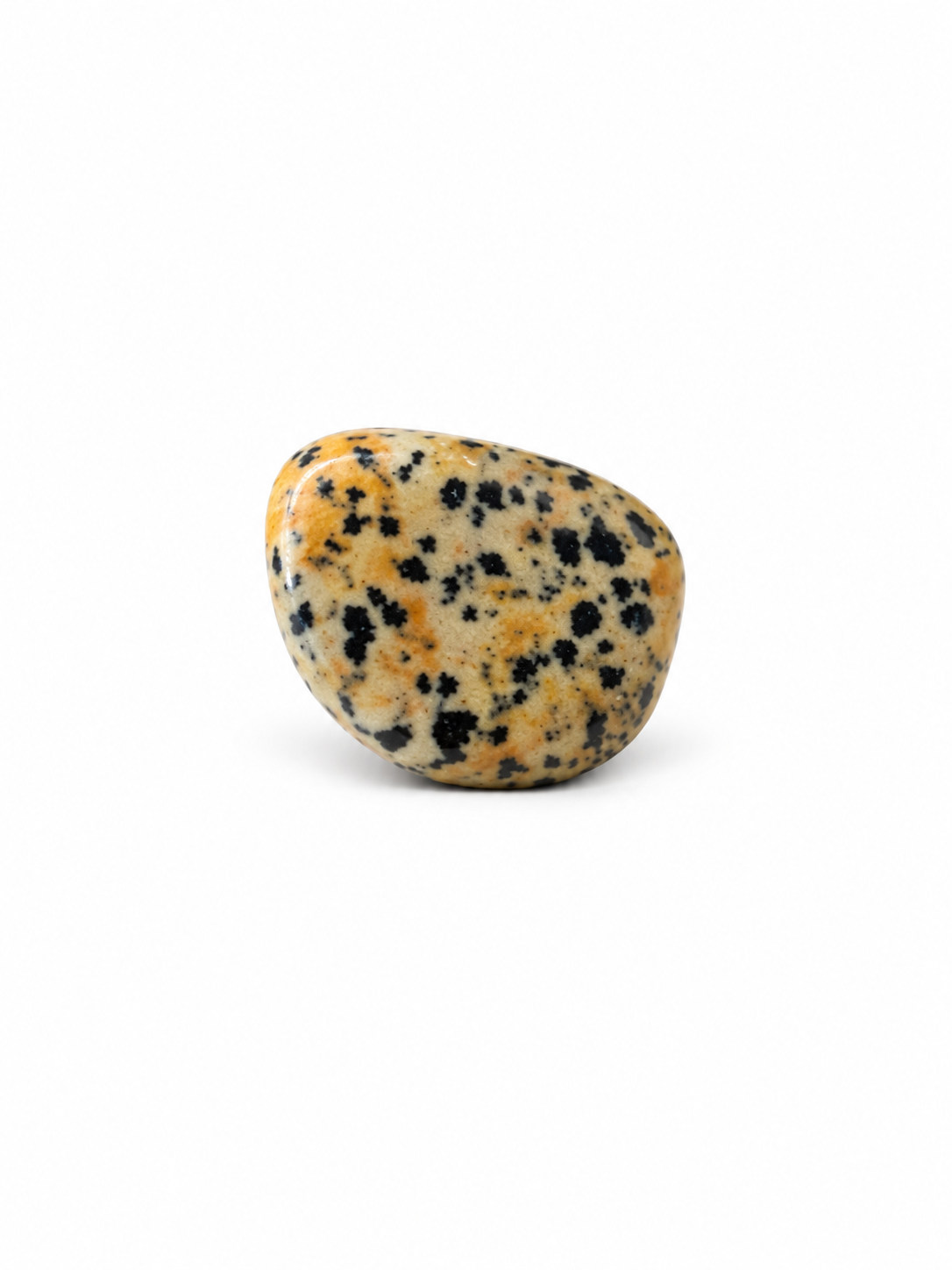 Dalmatian Jasper Pocket Stone
