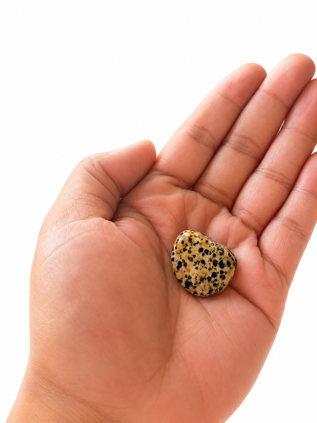 Dalmatian Jasper Pocket Stone