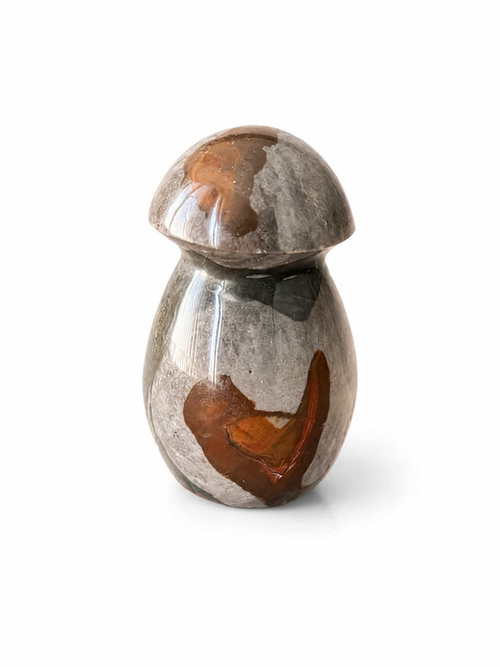 Polychrome Jasper Mushroom