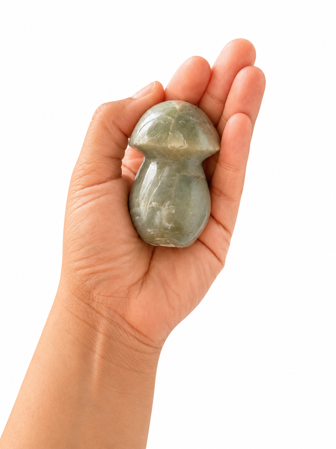 Labradorite Mushroom